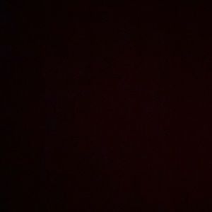 Meet your Posher, Delia